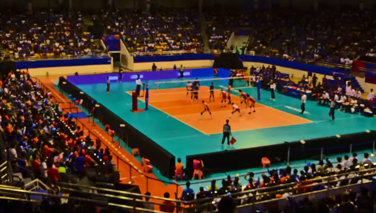 sport video translation